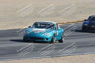 media/Feb-18-2024-Nasa AZ (Sun) [[891db5b212]]/7-Race Group A/Session 1 Turn 12 Exit-Bowl Entry/